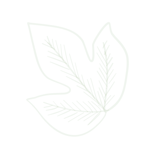 Hoja decorativa verde