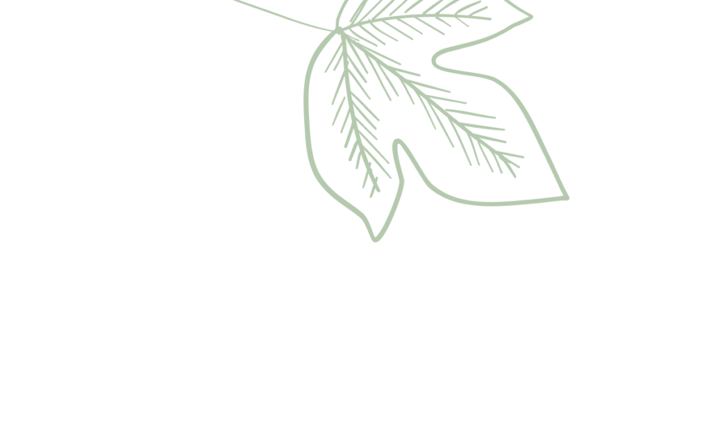 Hoja verde decorativa