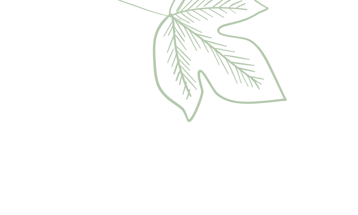 Hoja verde decorativa